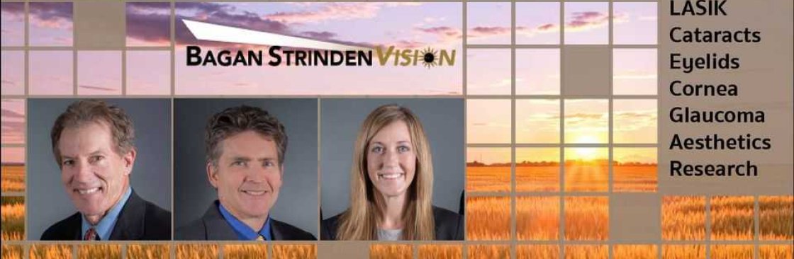 Bagan Strinden Vision Cover Image