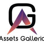 Assets Galleria Profile Picture