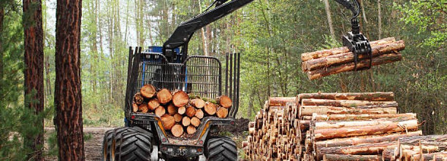 BW Timber Harvesting Cover Image