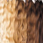 Tradesutra Hair Profile Picture