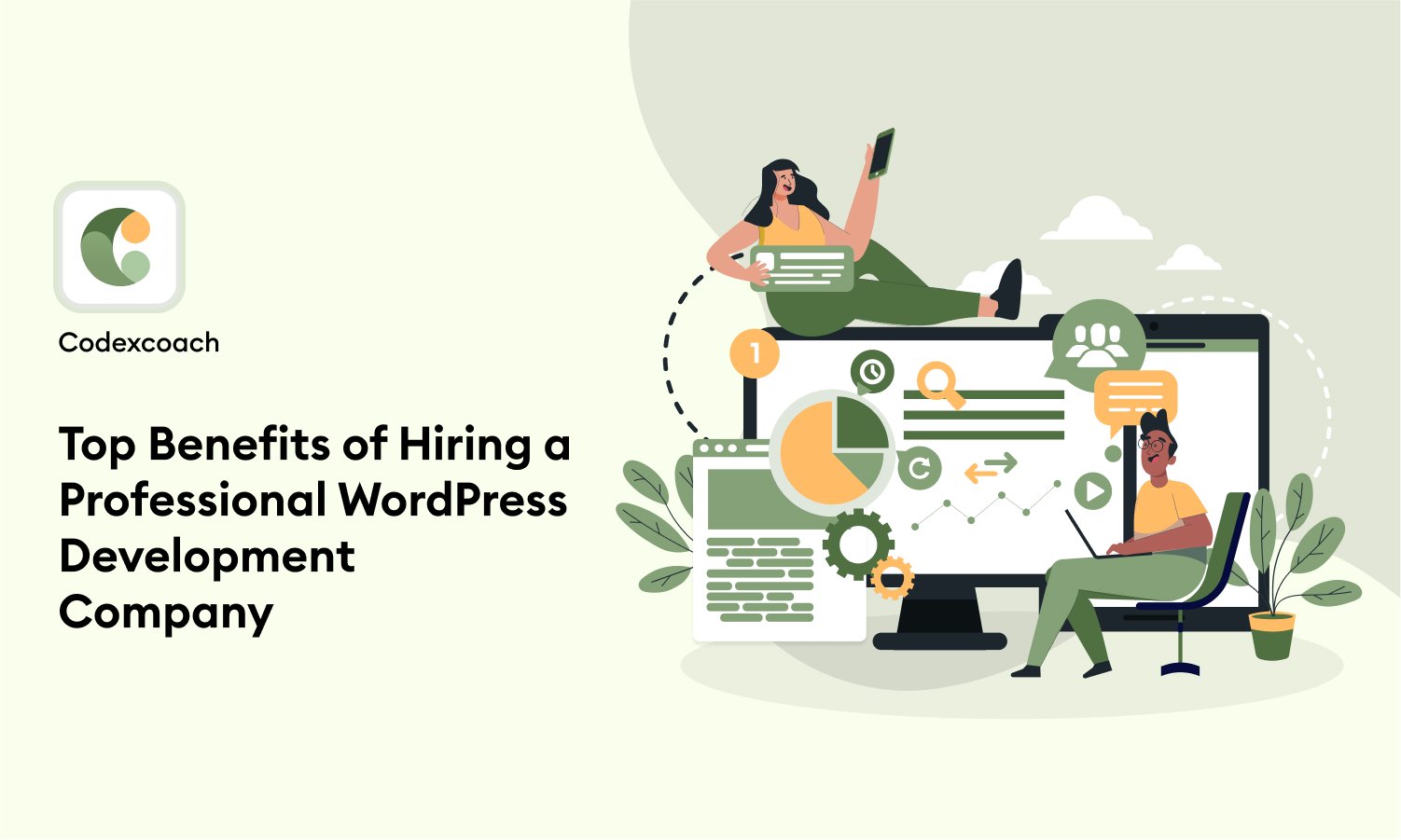 Top Benefits Of Hiring A Professional WordPress Development Company - CodexCoach