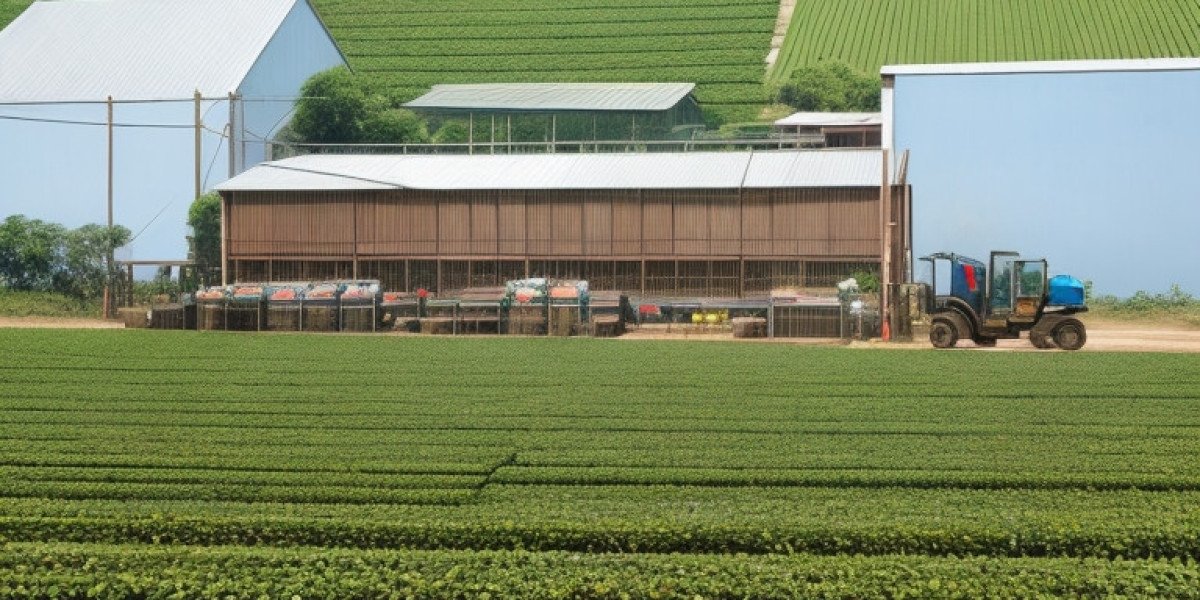 Tea Processing Plant Project Report 2023, Machinery, Business Plan, Plant Setup, Cost and Revenue
