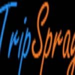 Trip Spray Profile Picture