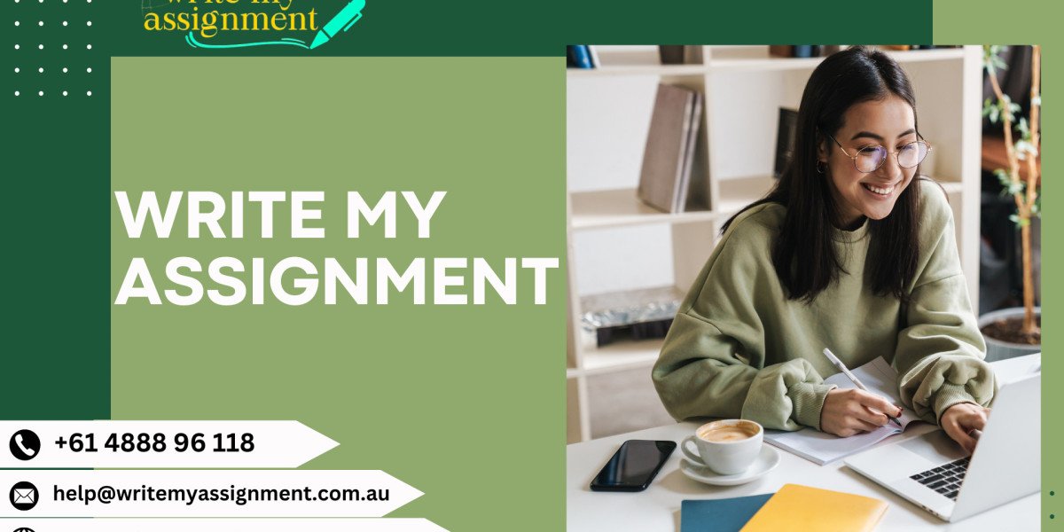 Write My Assignment: Your Path To Academic Success