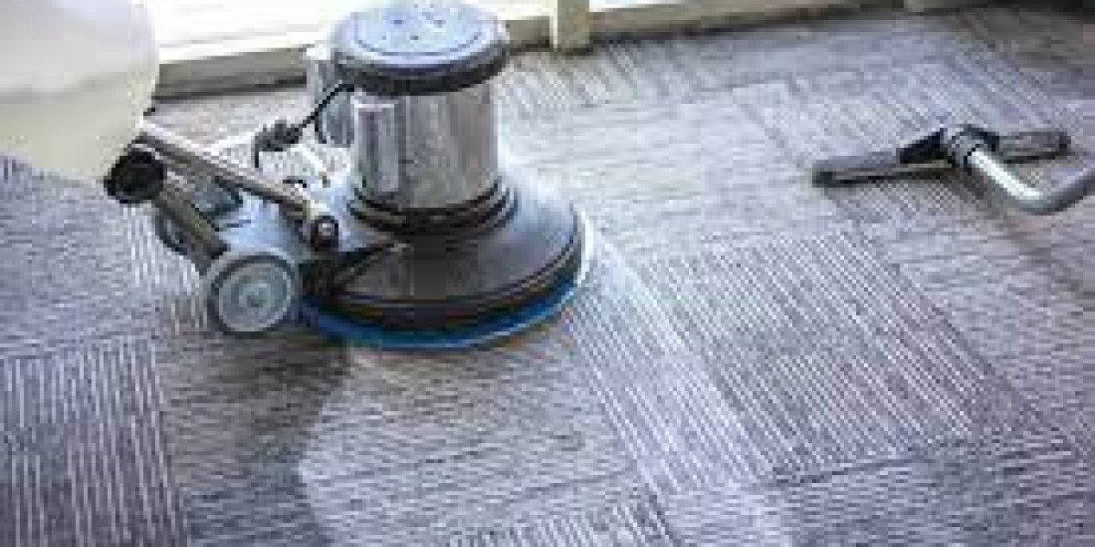 ﻿Protecting Your Investment: Carpet Cleaning for Pet Owners