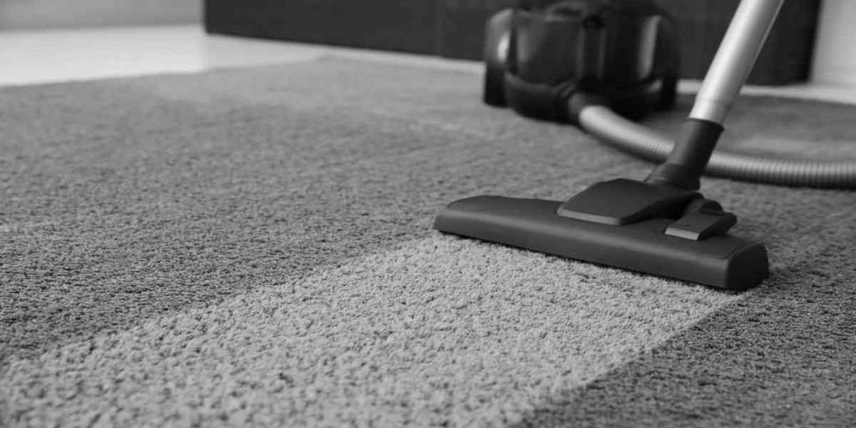 Don't Settle for Less: Elevate Your Home with Professional Carpet Cleaning