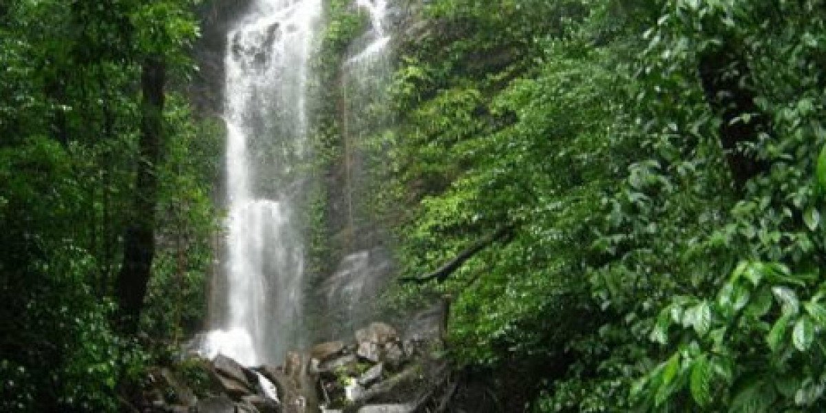 Exploring the Majestic Arasinagundi Falls