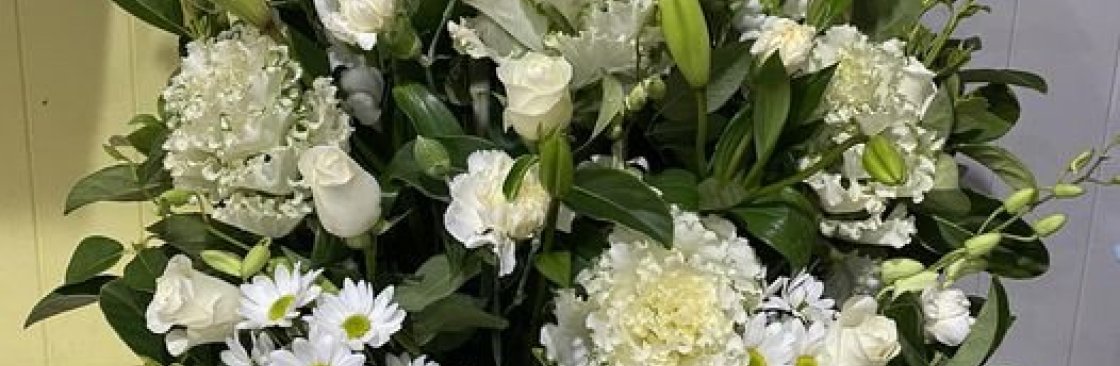 blossom ofwyndham Cover Image