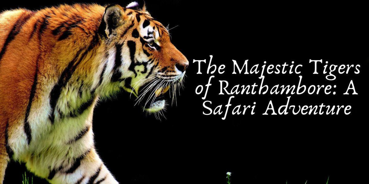 The Majestic Tigers of Ranthambore: A Safari Adventure