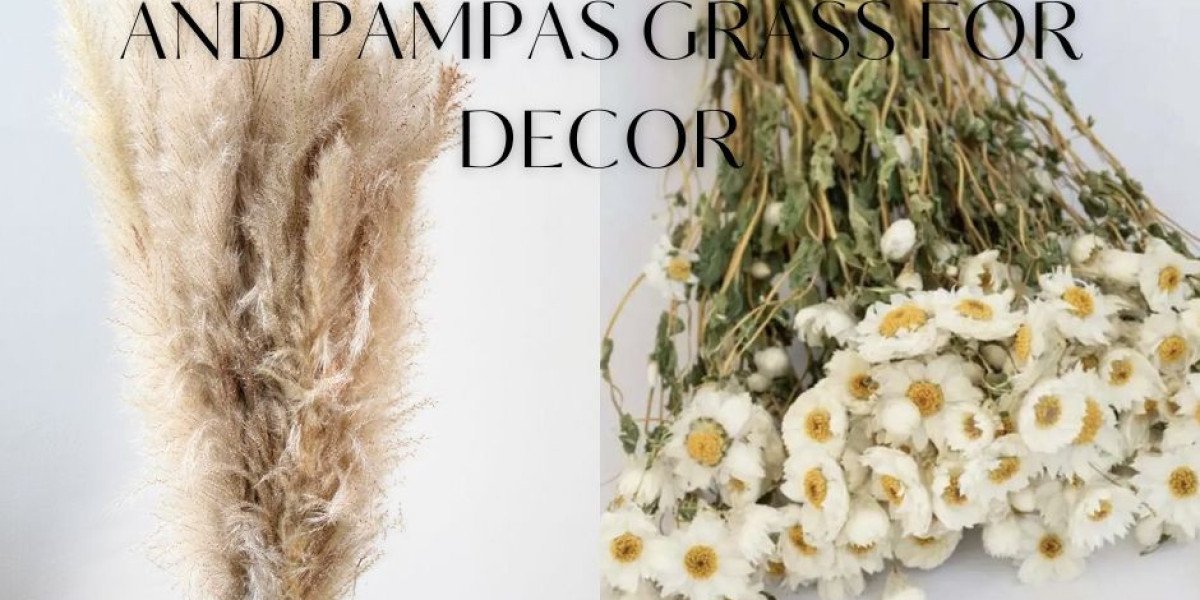 Can't Keep Indoor Plants Alive? Try These Dried Flowers and Pampas Grass for Decor