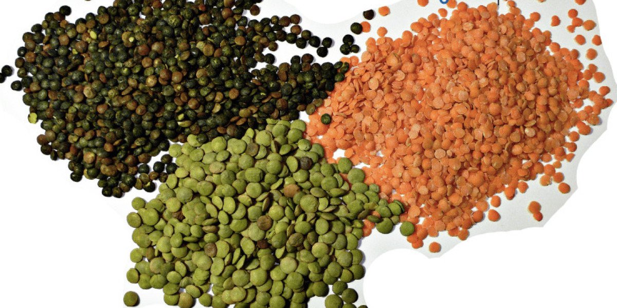 Lentil Market Size, Share, Industry Growth, Analysis, Opportunities and Report 2024-2032