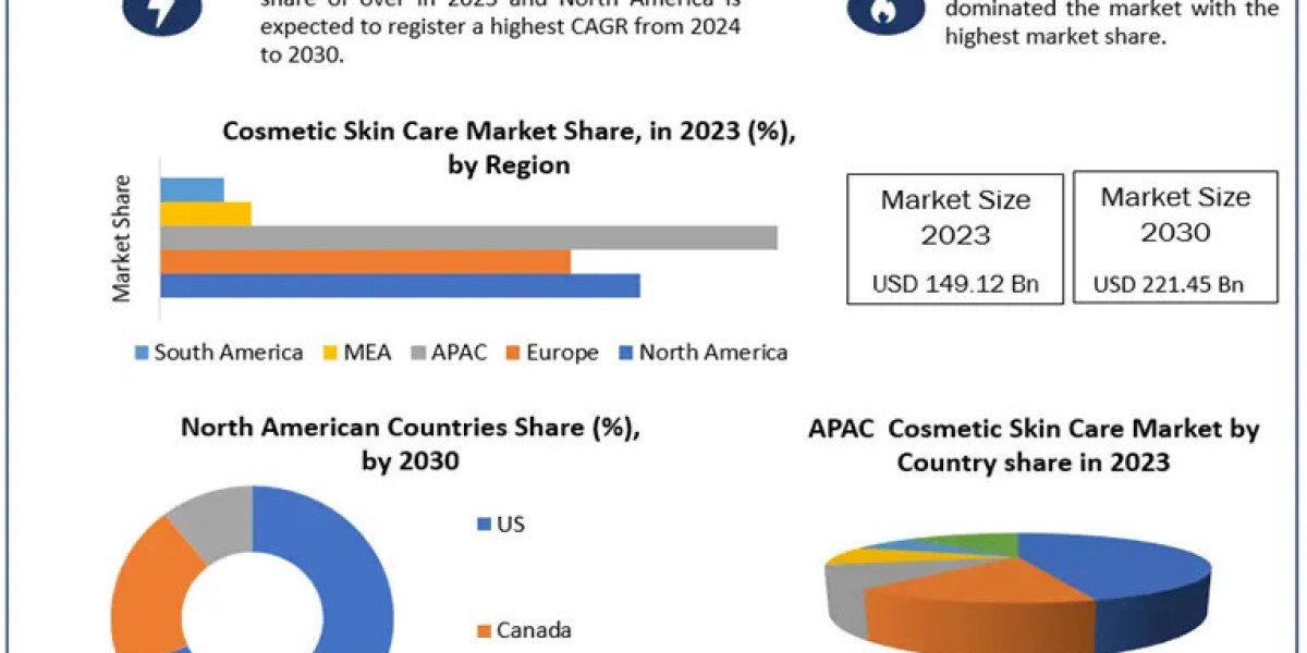 Global Cosmetic Skin Care Market Global Outlook and Forecast 2024-2030