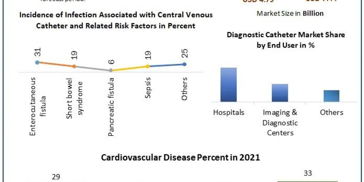 Diagnostic Catheter Market Size, Development Status, Top Players And Trends