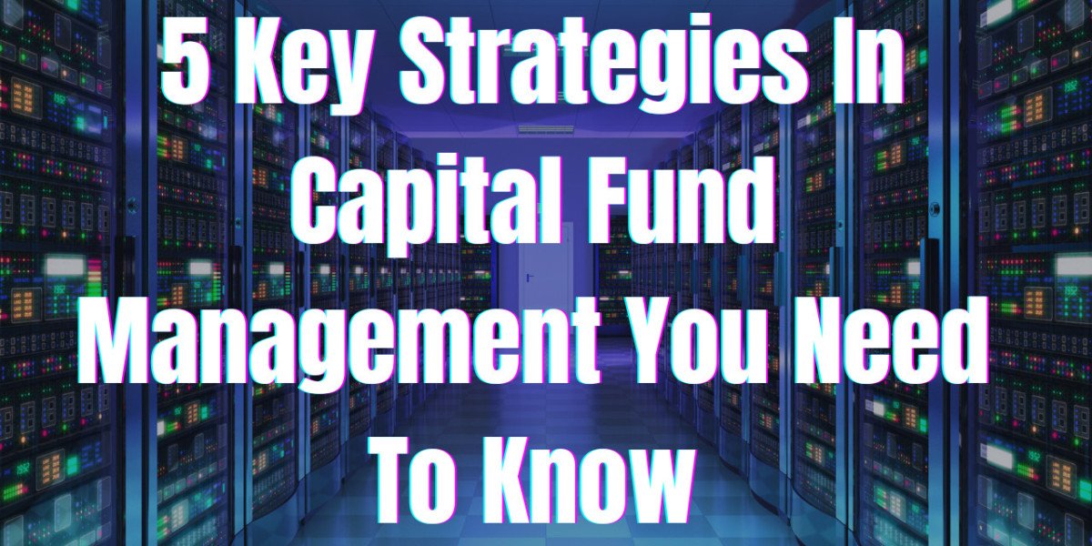 5 Key Strategies in Capital Fund Management You Need to Know