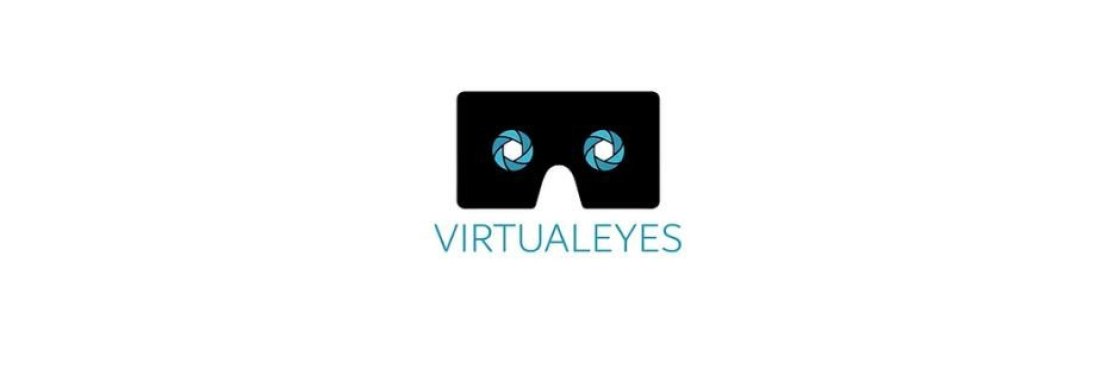 Virtual Eyes Cover Image