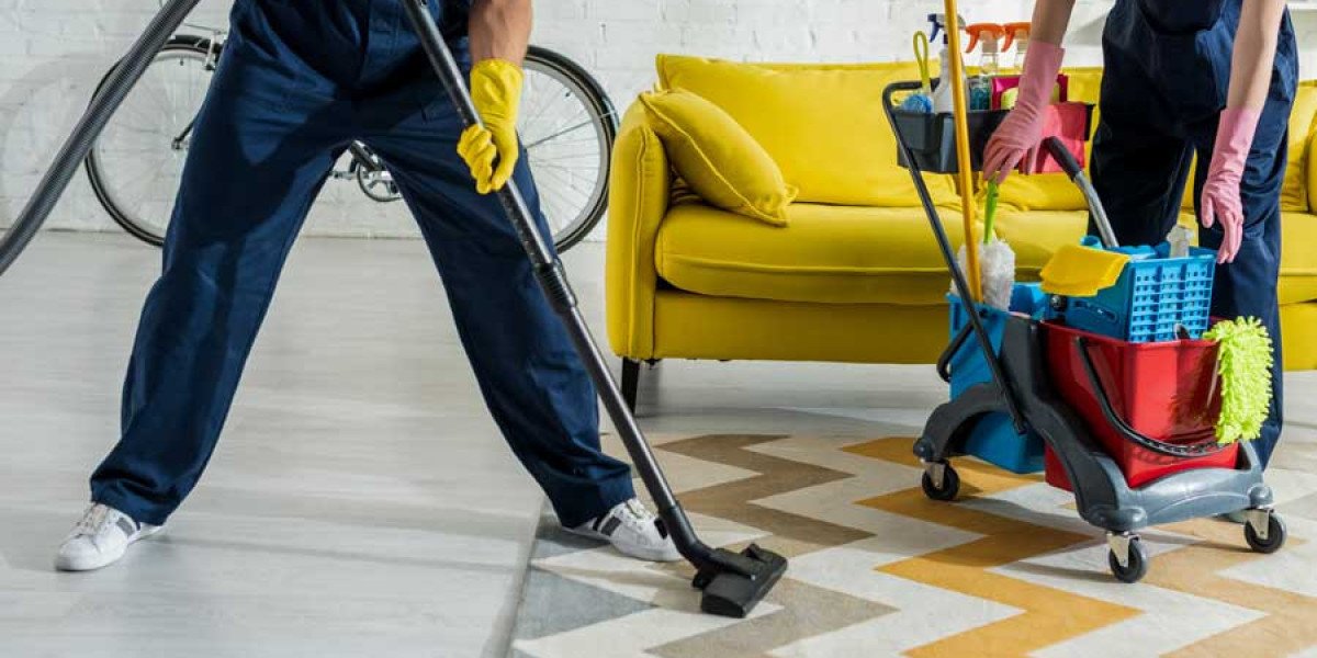 How Regular Carpet Cleaning Can Transform Your Home's Comfort