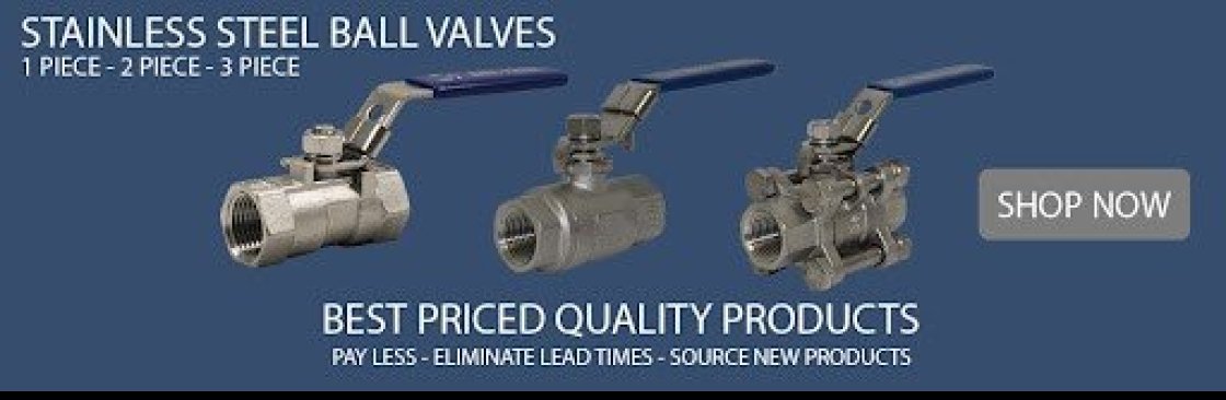 Stainless Steel Ball Valves Cover Image