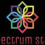 spectrum stay Profile Picture