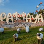 Pattaya Sheep Farm Profile Picture