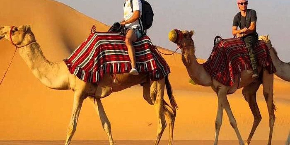 Desert Safari Sharjah: A Gateway to Unforgettable Adventures