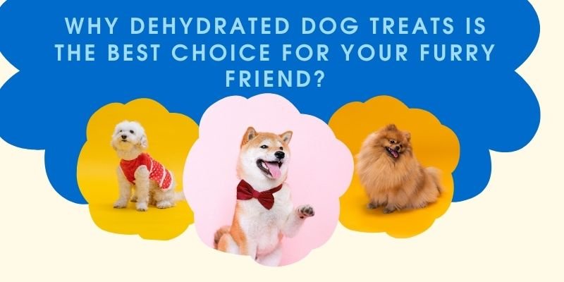 Dehydrated Dog Treats at Petritive