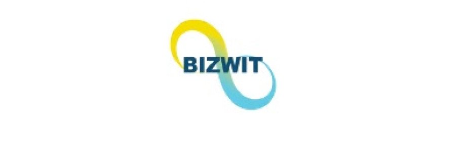 Bizwitresearch Cover Image