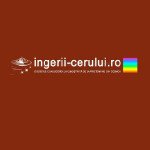 ingerii Cerului Profile Picture