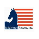 Saddlebred Rescue, Inc. Profile Picture