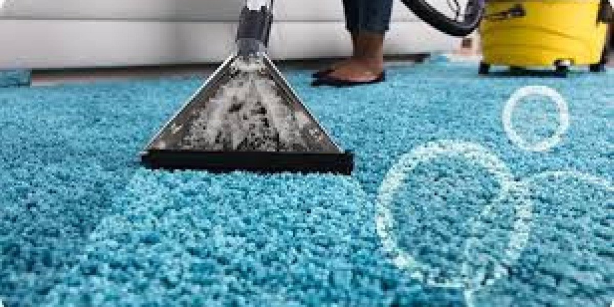 Importance of Carpet Cleaning