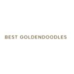 Best Goldendoodles Profile Picture