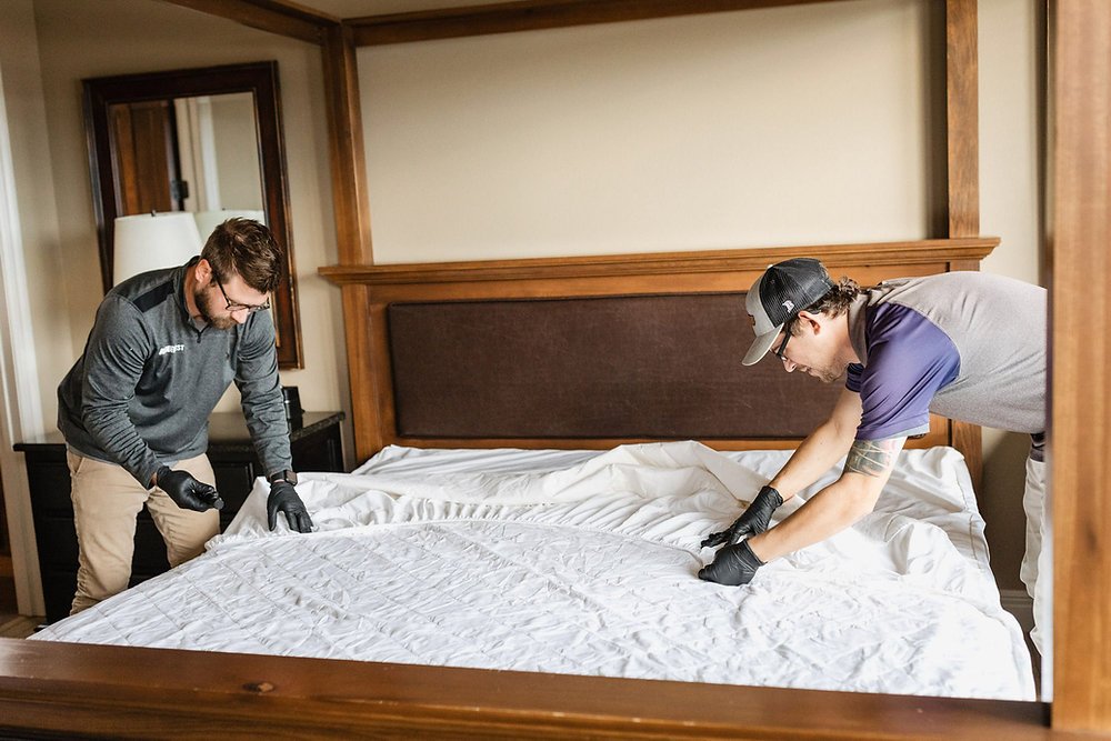 5 Signs You Need Professional Pest Control Services in Broomfield, Colorado