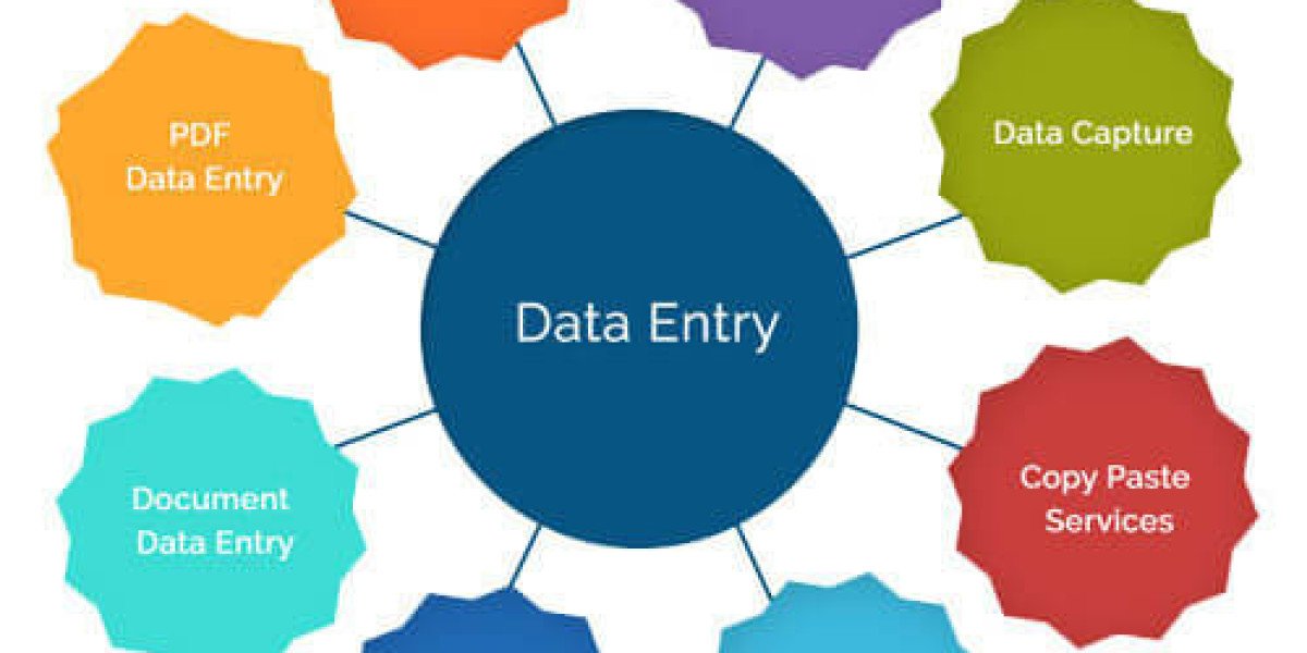 Data Entry Projects in Delhi