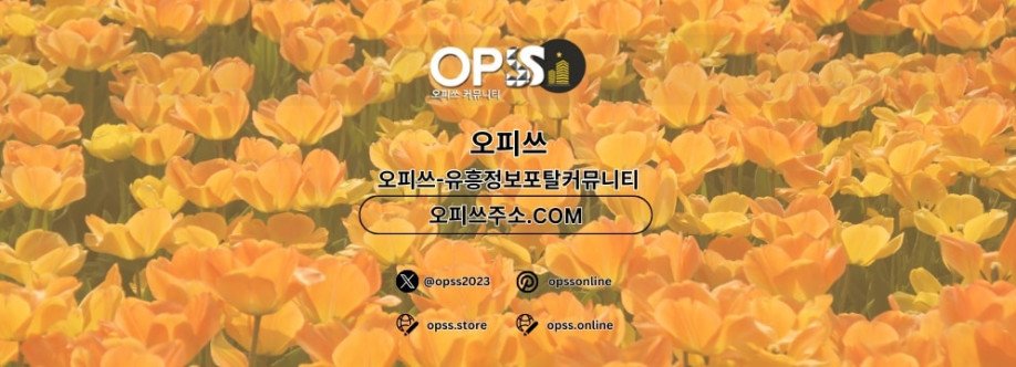 평촌오피 오피사이트NET 평촌OP Cover Image
