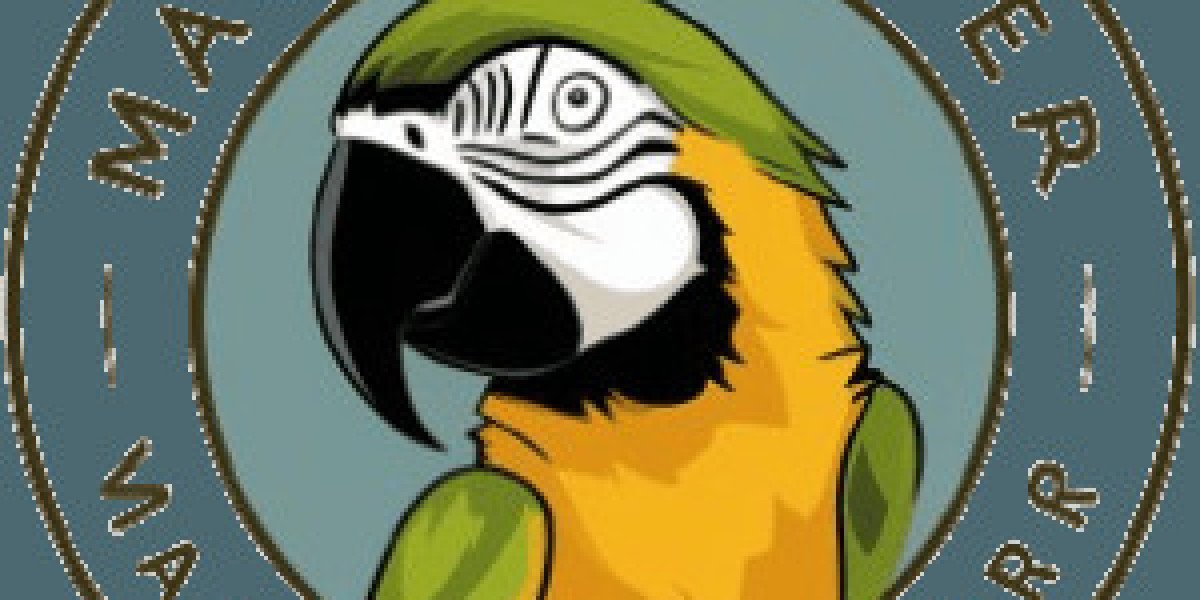 Buffy Macaw Bird For Sale Tips From The Best In The Business