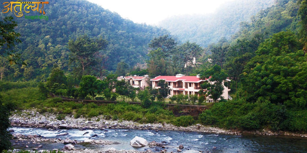 Why Riverside Resorts in Jim Corbett Should Be on Your Bucket List