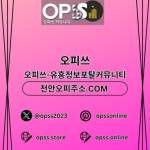 인천오피 오피CLUB 인천OP Profile Picture