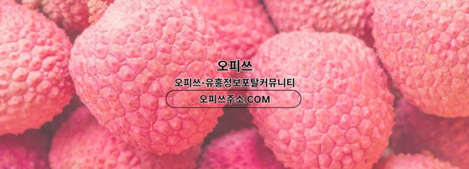 포항1인샵 오피사이트NET 포항 1인샵 Cover Image