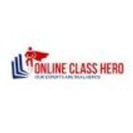 Online Class Hero Profile Picture