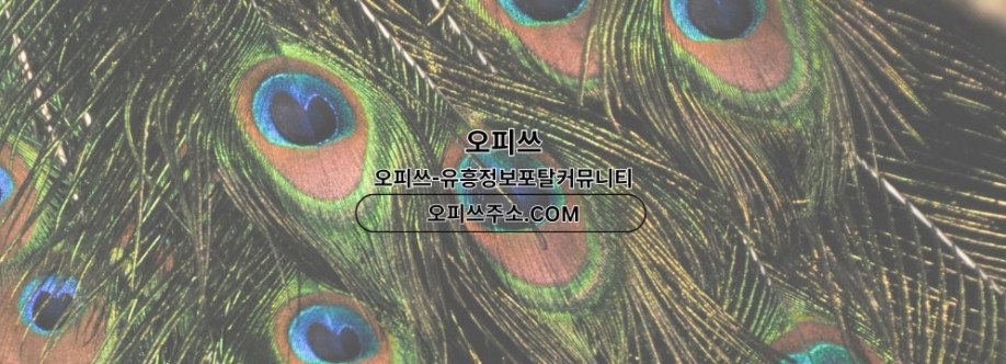 동두천1인샵 오피쓰COM 동두천 1인샵 Cover Image