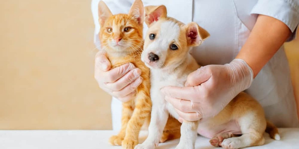 What is the Difference Between Neutering and Desexing in Pets?