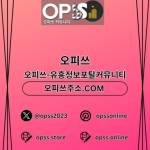 제주오피 오피쓰주소COM 제주OP Profile Picture