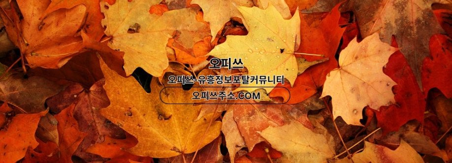 역삼출장마사지 오피쓰COM 역삼출장샵 Cover Image