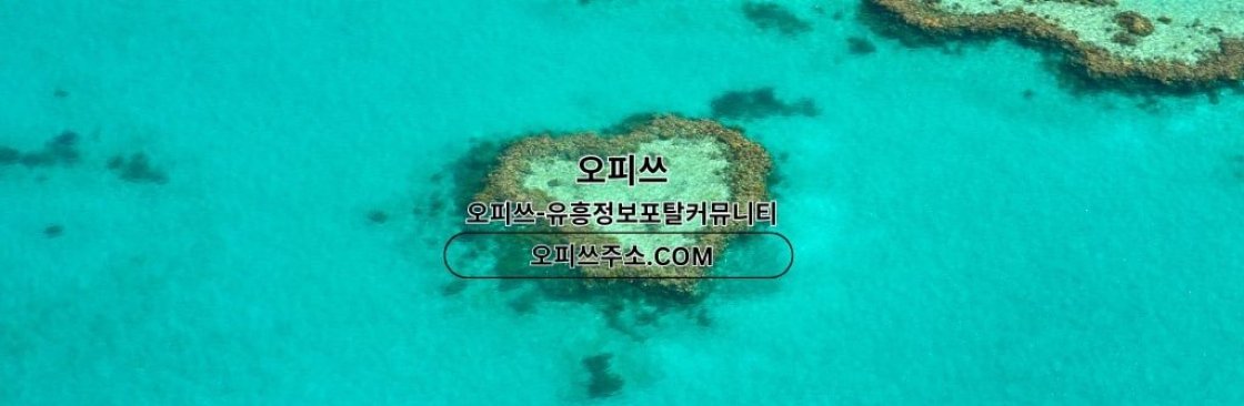 강동출장샵 오피쓰COM 강동출장마사지 Cover Image