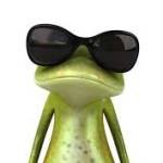 linnchinnn Profile Picture