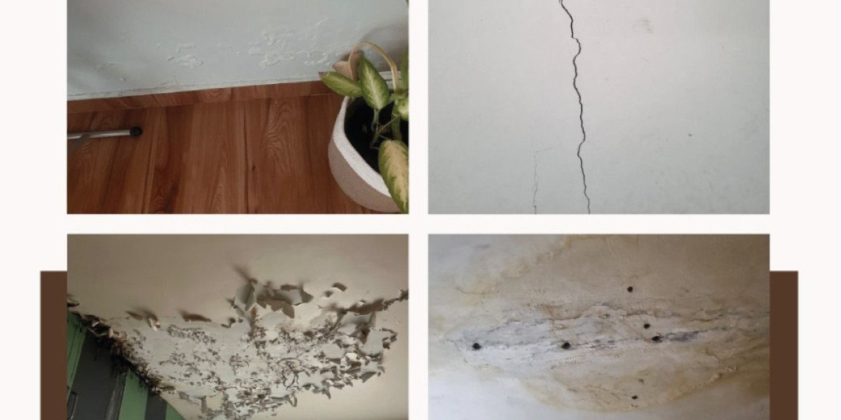 Top Waterproofing Experts in India – Wet2Dry Solutions Pvt Ltd
