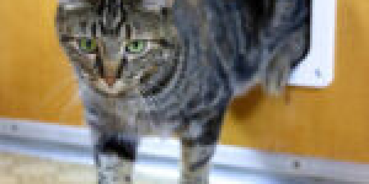 There Is No Doubt That You Require Cat Door Technician
