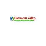 Blossomvalley Therapycentre Profile Picture