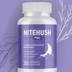NiteHush Pro Reviews Profile Picture