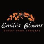 emilesbalmain Profile Picture