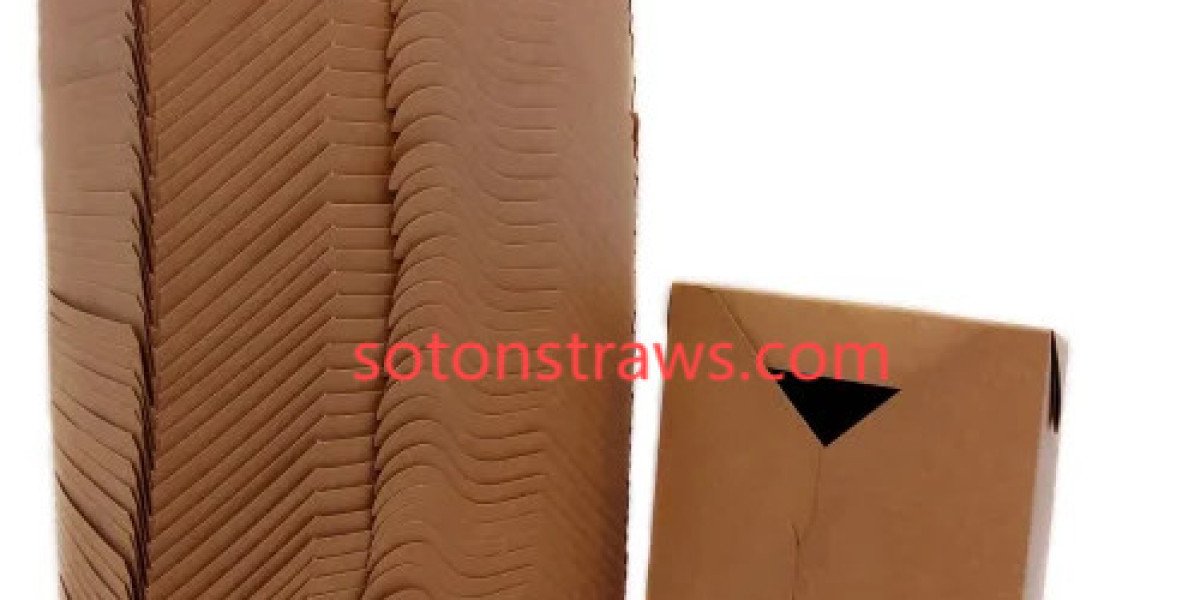 The Unboxed Potential: Soton’s Vision for Disposable Kraft Box Versatility